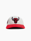 Chicago Bulls Cord Visor Pro Crown Snapback