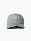 Chicago Bulls Seasonal Pro Crown Snapback